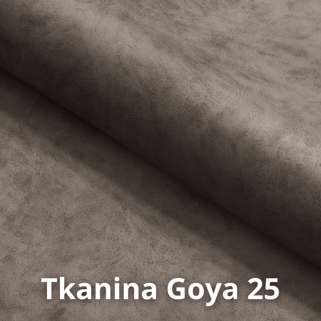 Goya